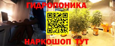 МДМА Новодвинск