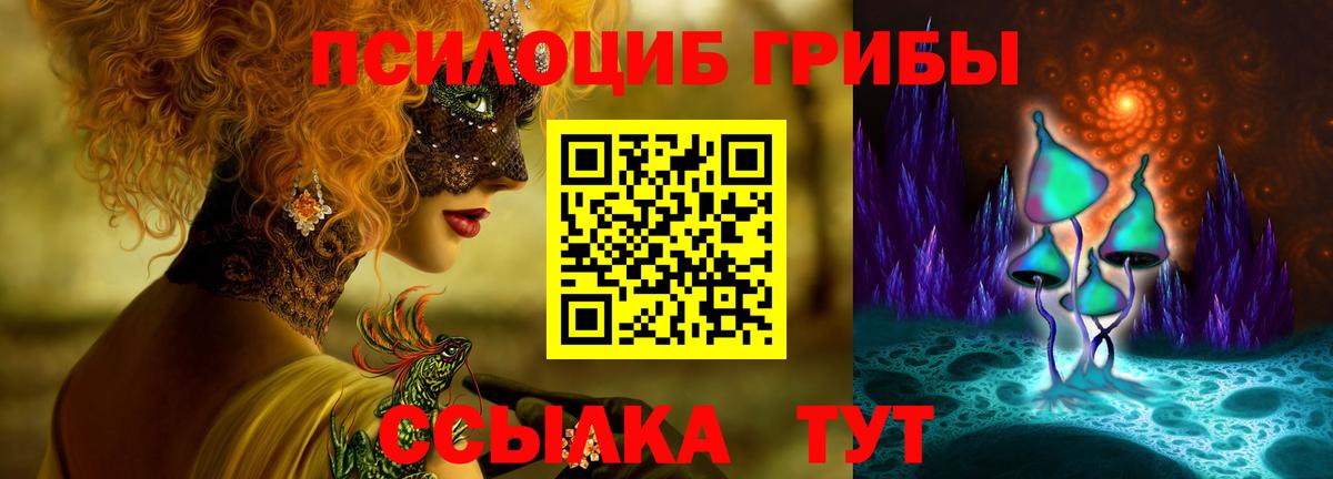 Галлюциногенные грибы мицелий  Галлюциногенные грибы Cubensis  Алатырь  Вход с VPN 